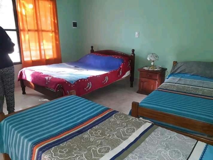 Hostel Odorico San Jose  Ngoại thất bức ảnh