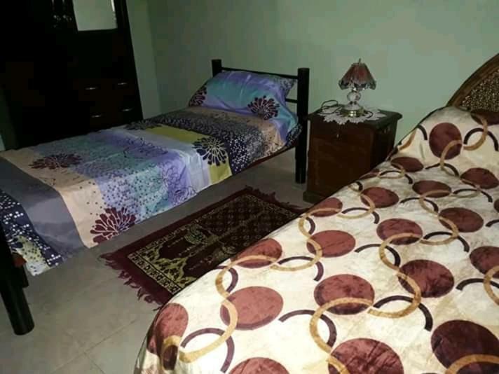 Hostel Odorico San Jose  Ngoại thất bức ảnh